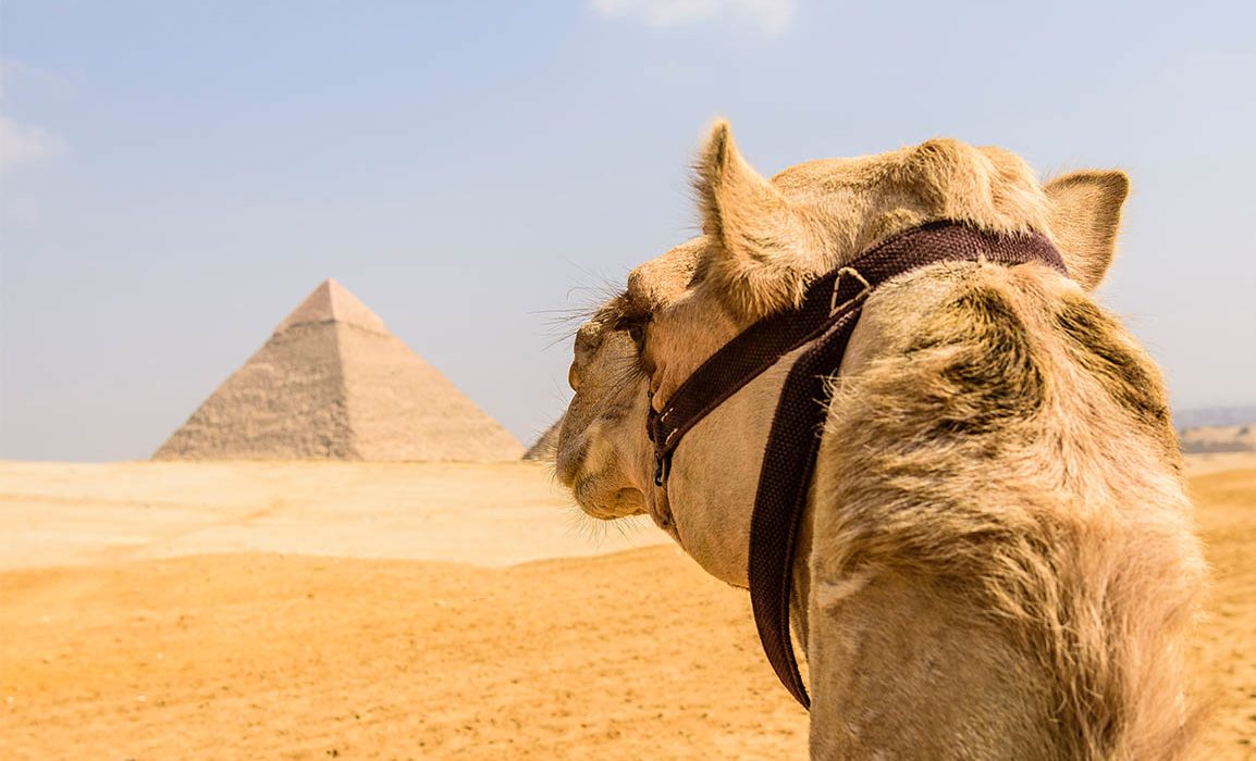 prevara u egiptu, piramide u kairu, kairo