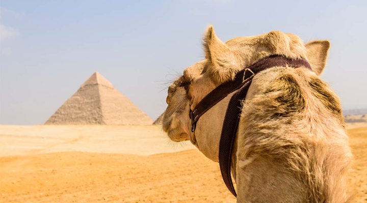 prevara u egiptu, piramide u kairu, kairo