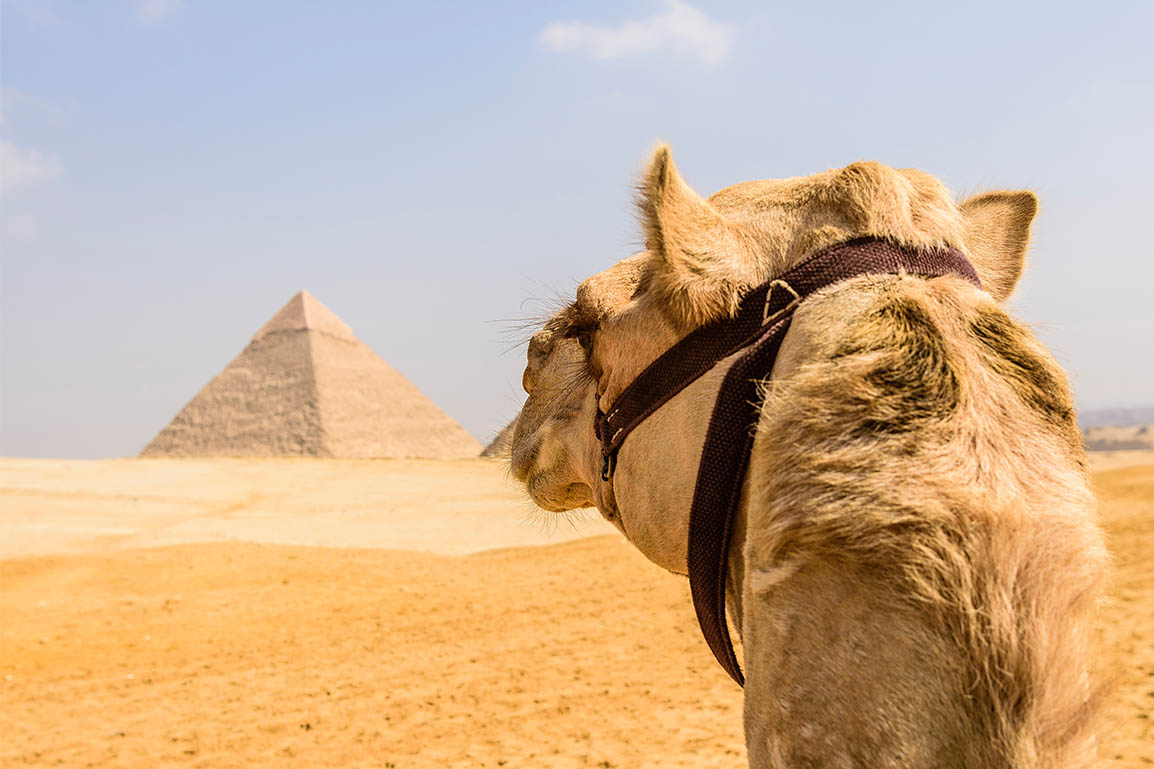 prevara u egiptu, piramide u kairu, kairo