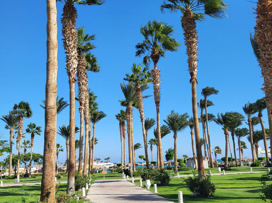 Resort u Hurgadi, bazen u resortu, plaža i more u Hurgadi, luksuzna soba u resortu, panorama resorta u Hurgadi, all-inclusive odmor u Hurgadi, porodični odmor u resortu, privatna plaža u resortu, restoran u resortu, zalazak sunca u Hurgadi, zabava i animacija u resortu, palmama okružen bazen