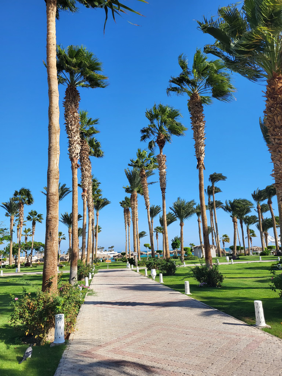 Resort u Hurgadi, bazen u resortu, plaža i more u Hurgadi, luksuzna soba u resortu, panorama resorta u Hurgadi, all-inclusive odmor u Hurgadi, porodični odmor u resortu, privatna plaža u resortu, restoran u resortu, zalazak sunca u Hurgadi, zabava i animacija u resortu, palmama okružen bazen