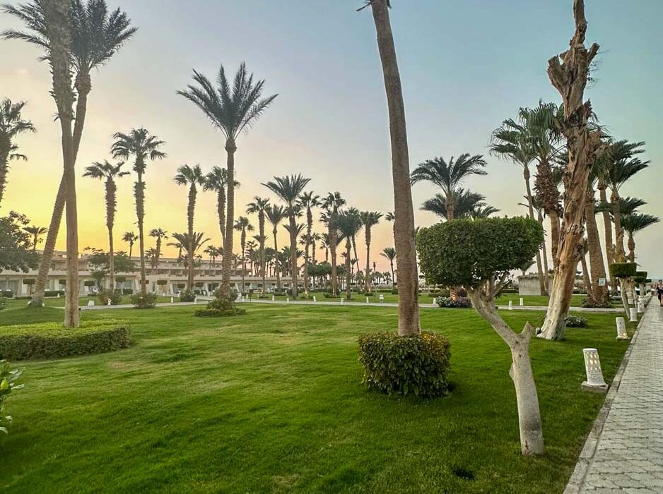 Resort u Hurgadi, bazen u resortu, plaža i more u Hurgadi, luksuzna soba u resortu, panorama resorta u Hurgadi, all-inclusive odmor u Hurgadi, porodični odmor u resortu, privatna plaža u resortu, restoran u resortu, zalazak sunca u Hurgadi, zabava i animacija u resortu, palmama okružen bazen