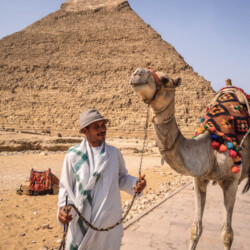 Cairo, Egypt; October 2020: A local vendor with his camel at the Pyramid of Kefren. The Pyramids of Giza the oldest funerary monument in the world piramide, kairo, mesto kairo